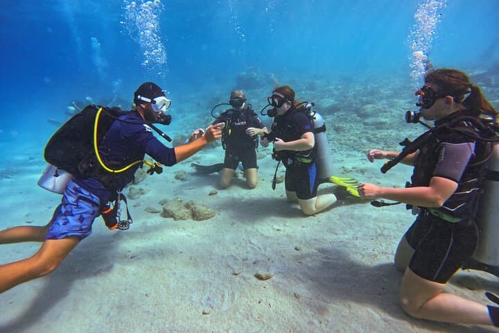 Discover Scuba Diving in Curaçao: 2.5-Hour Reef, Wreck & Coral Restoration Dive