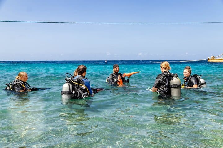 Discover Scuba Diving in Curaçao: 2.5-Hour Reef, Wreck & Coral Restoration Dive photo 2