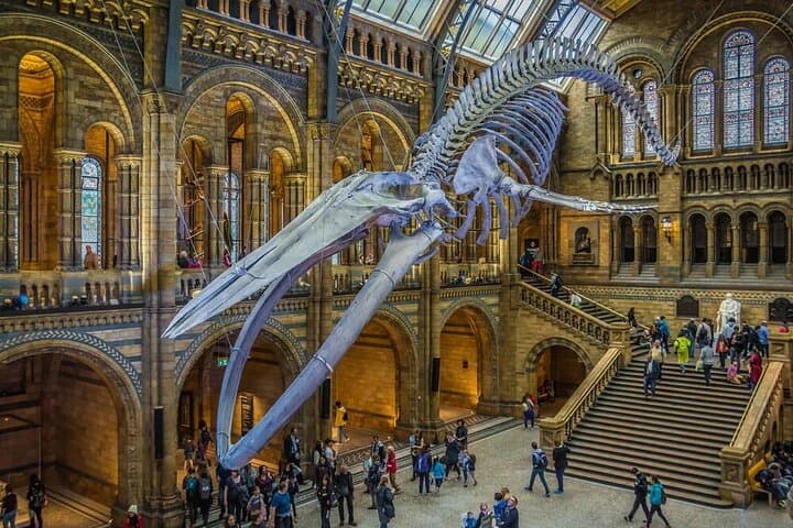 Private Walking Tour of the British Museum — 2-Hour Expert Guided Visit