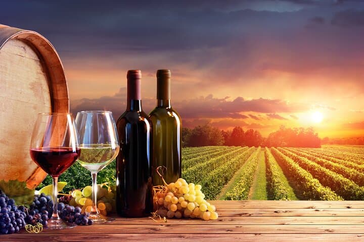 Chianti Classico Private Wine Tour from Florence: Cellars, Tastings & Tuscan Flavors photo 2
