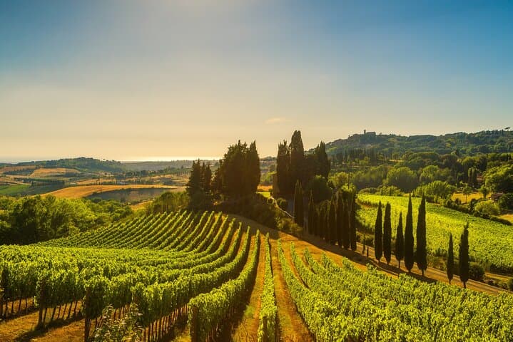 Chianti Classico Private Wine Tour from Florence: Cellars, Tastings & Tuscan Flavors photo 5