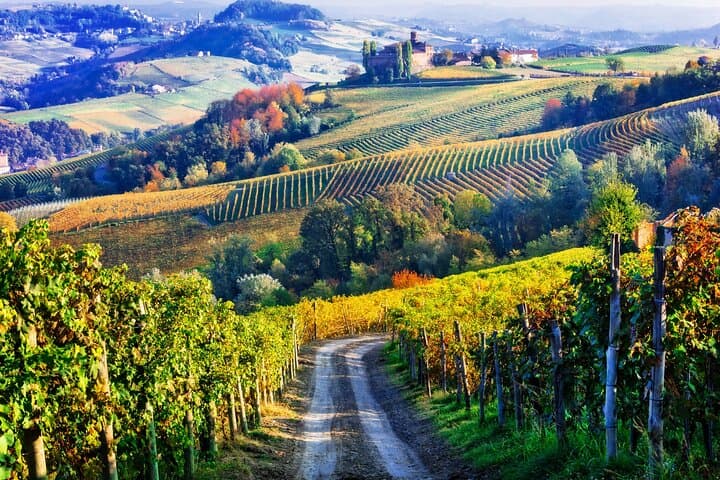 Chianti Classico Private Wine Tour from Florence: Cellars, Tastings & Tuscan Flavors photo 6
