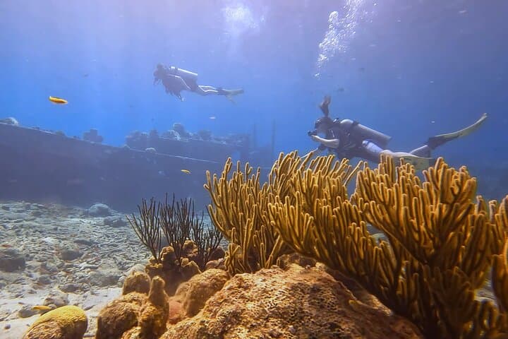 PADI Open Water Course in 3 Days — Learn to Dive in Curaçao photo 6