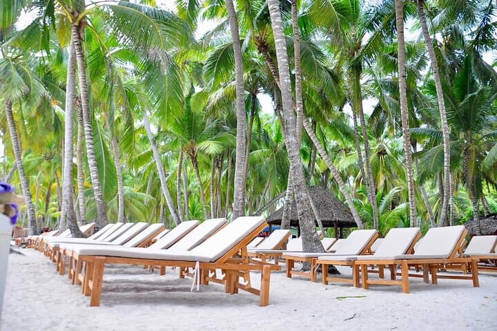 Full-Day Isla Saona Catamaran: Snorkel, Natural Pools & Dominican Buffet photo 6