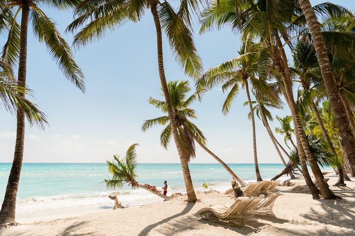 Full-Day Isla Saona Catamaran: Snorkel, Natural Pools & Dominican Buffet photo 3