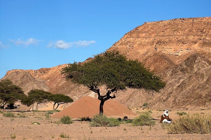 Sinai Valleys One-Day Guided Hike from Dahab