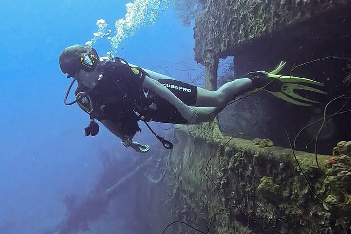 Two Guided Shore Dives in Curacao — Reefs, Wrecks & Turtles