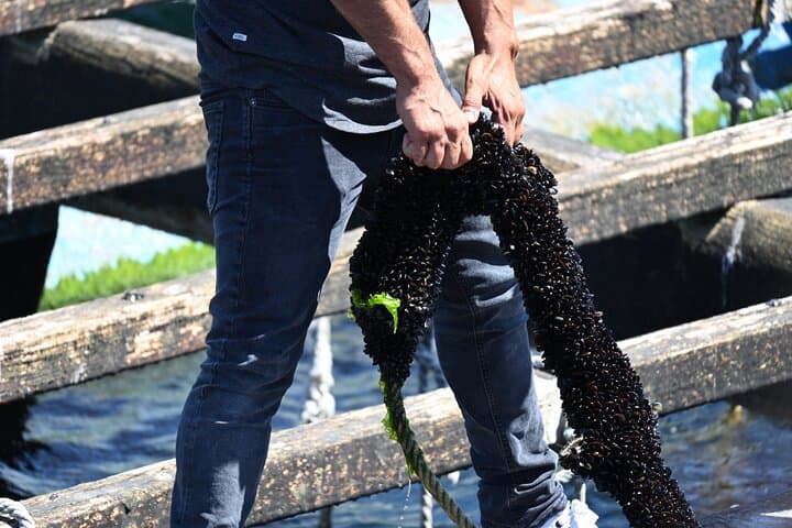 Rías Baixas Day Tour: Arousa Island, Combarro & Mussel Boat Experience photo 5