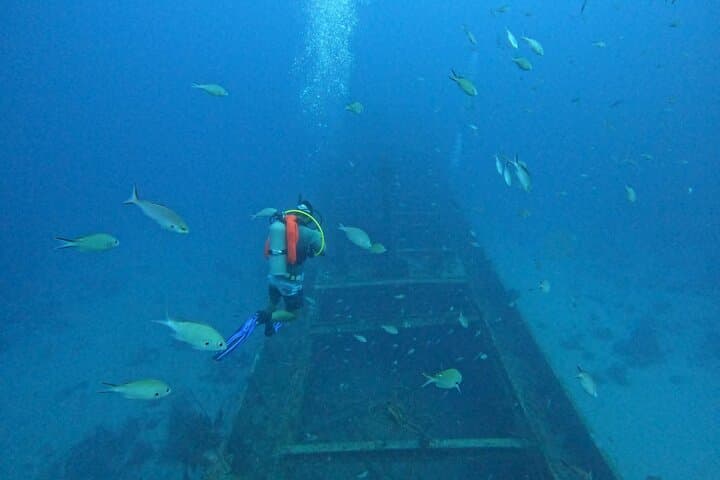 Two Guided Shore Dives in Curacao — Reefs, Wrecks & Turtles photo 2