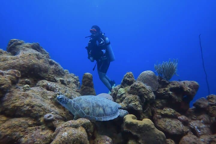PADI Open Water Course in 3 Days — Learn to Dive in Curaçao photo 4