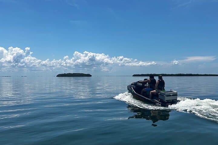 Skyway to Sandbars: 90-Minute Jet Ski Tour from St. Petersburg photo 5