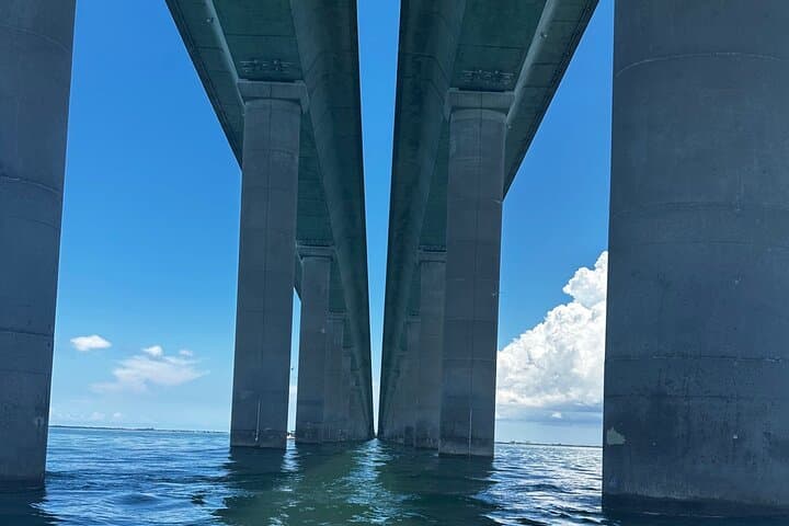 Skyway to Sandbars: 90-Minute Jet Ski Tour from St. Petersburg photo 6