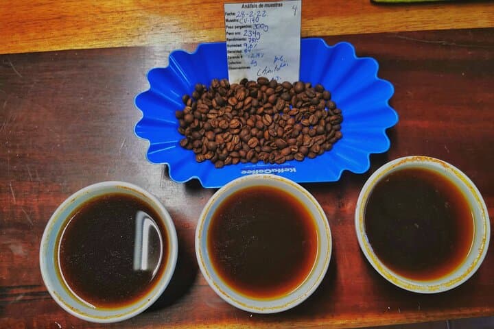 Manuel Antonio Chocolate & Coffee Tasting Tour — Quepos Day Experience photo 6