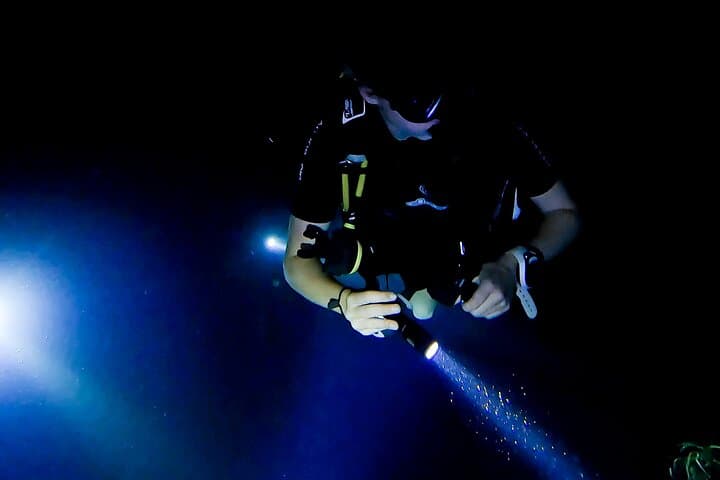 Night Dive at Tugboat Beach, Curaçao — Explore the Tugboat Wreck After Dark photo 2