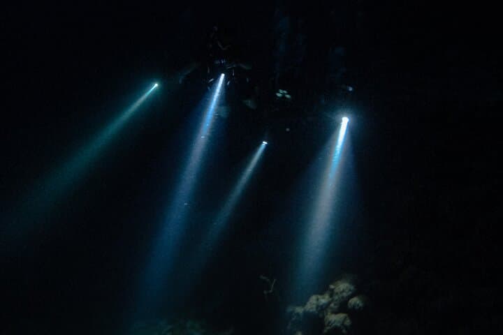 Night Dive at Tugboat Beach, Curaçao — Explore the Tugboat Wreck After Dark photo 4