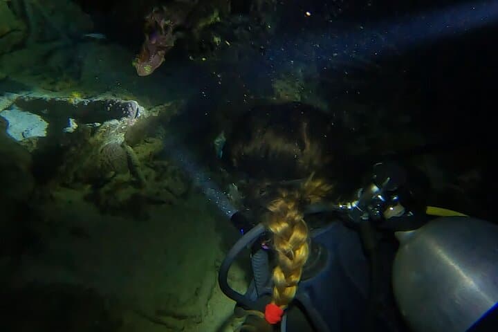 Night Dive at Tugboat Beach, Curaçao — Explore the Tugboat Wreck After Dark photo 5