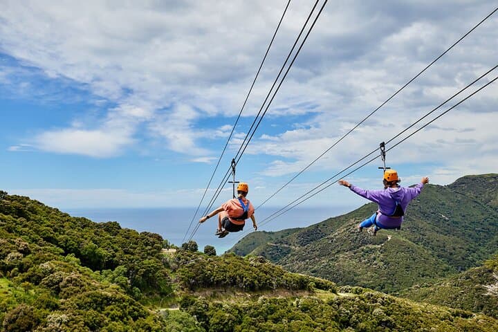Thrill Above Kaikoura: Half Day Zipline Adventure Over Native Forests and Farmland photo 6