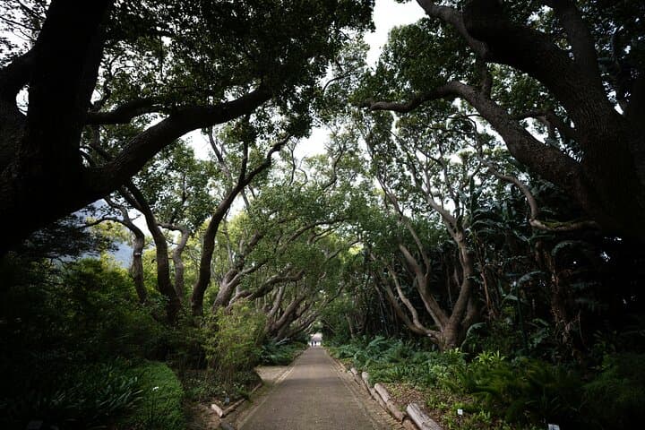 Kirstenbosch Gardens Self-Guided Audio Tour — Botany Expert Walking Route photo 4