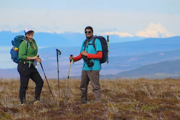 Mount Fenton Patagonian Forest Hike — 6-Hour Private Trek from Punta Arenas photo 2