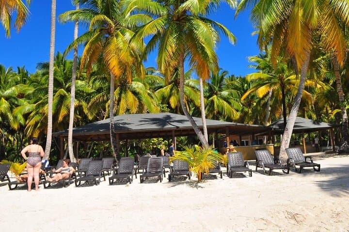 Saona Island Day Trip from Bavaro: Speedboat, Natural Pool & Catamaran Return photo 3