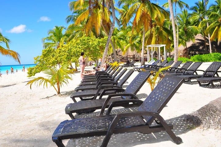 Saona Island Day Trip from Bavaro: Speedboat, Natural Pool & Catamaran Return
