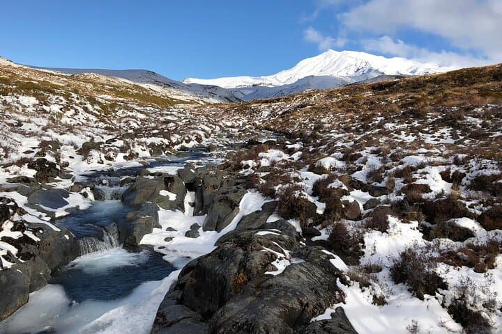 Pre-Sunset Guided Walk to Taranaki Falls in Tongariro National Park photo 3