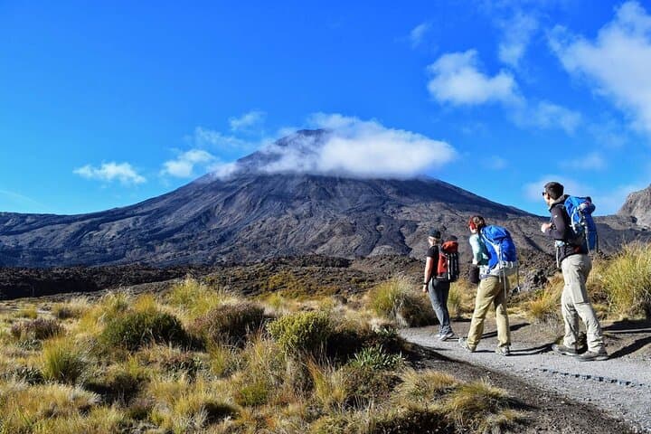Half-Day Tongariro Alpine Walk to Soda Springs | Guided Tour from National Park Village photo 6