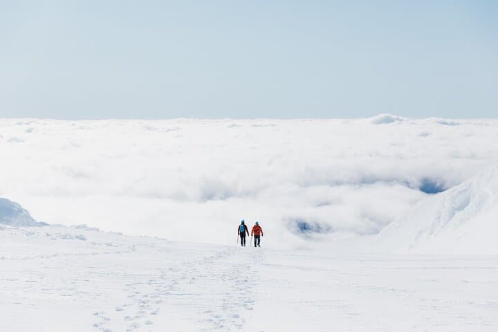 Summit the Crater Lake: Private Mt Ruapehu Plateau Guided Hike photo 6