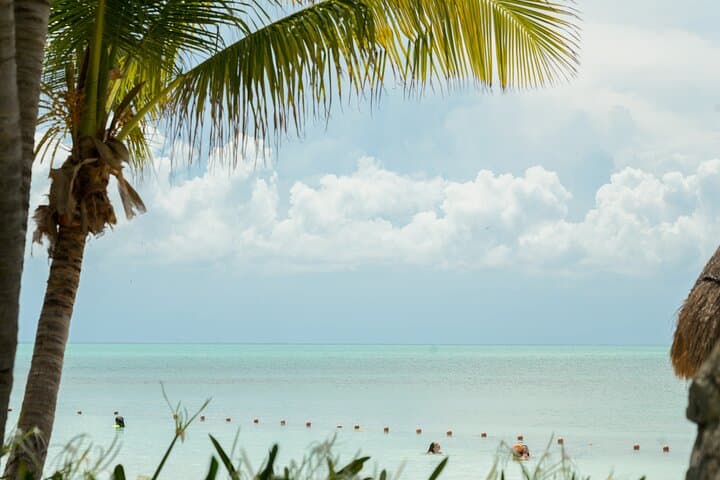 Isla Contoy Snorkeling and Isla Mujeres Day Trip with Buffet and Open Bar photo 2