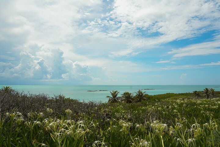 Isla Contoy Snorkeling and Isla Mujeres Day Trip with Buffet and Open Bar photo 4