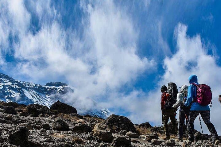 Mount Kenya Full-Day Hike (Naro Moru) — Meteorological Station Return photo 2
