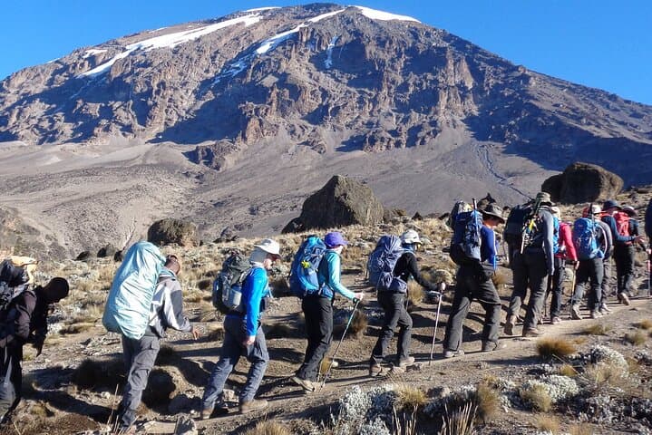 Mount Kenya Full-Day Hike (Naro Moru) — Meteorological Station Return