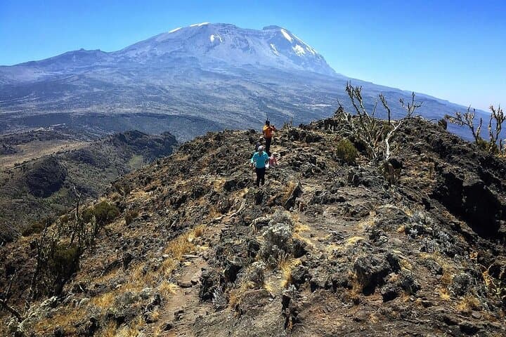 Mount Kenya Full-Day Hike (Naro Moru) — Meteorological Station Return photo 4