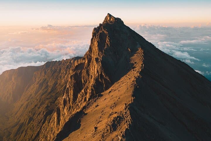 Mount Kenya Full-Day Hike (Naro Moru) — Meteorological Station Return photo 6