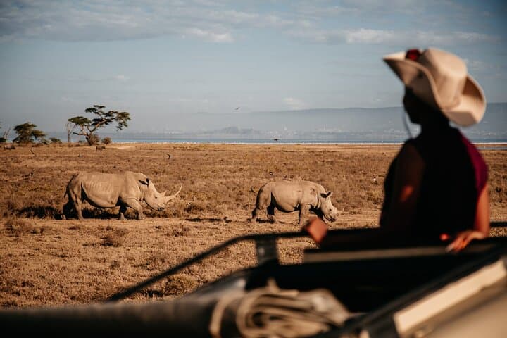 5-Day Aberdares, Solio & Samburu Luxury Safari — 4x4 Kenya Wildlife Tour photo 3