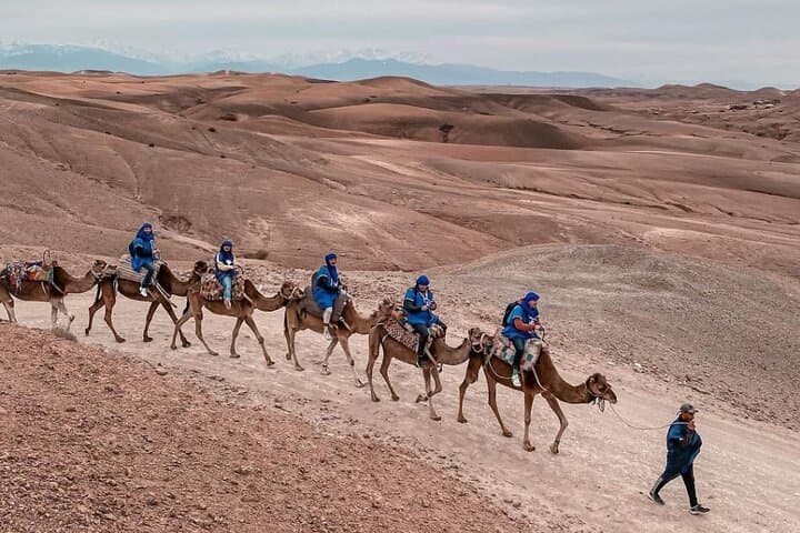 Agafay Desert Sunset Camel Ride with Dinner and Berber Performance photo 4