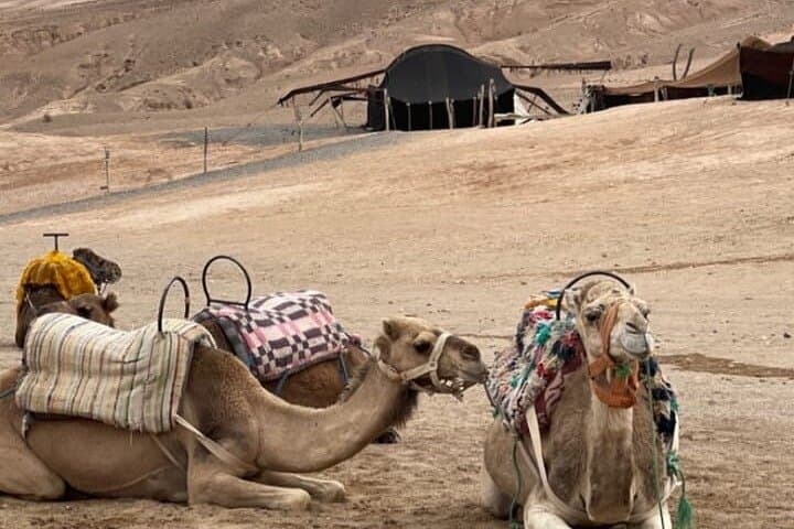 Agafay Desert Sunset Camel Ride with Dinner and Berber Performance photo 6