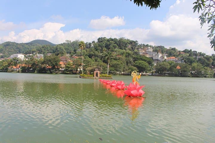 Culture and More Tour in Kandy: Temple, Gardens, Market & Viewpoint photo 3