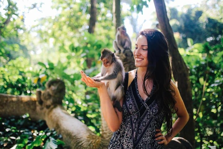 Ubud Day Tour: Temples, Rice Terraces, Monkey Forest & Tegenungan Waterfall photo 4