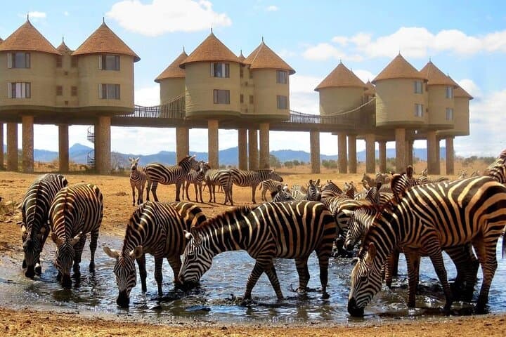 Saltlick & Tsavo West: 3-Day Luxury Safari from Nairobi photo 4