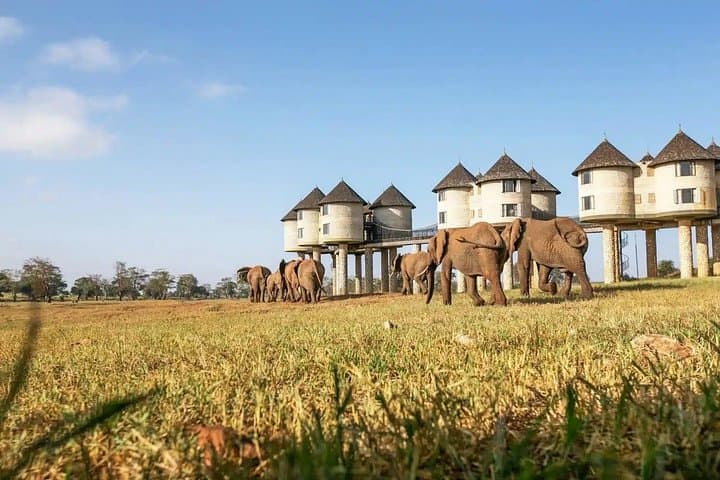 Private 2-Day Tsavo East Safari from Mombasa — Lodge Stay & Game Drives photo 3