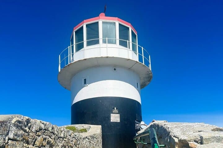 Full-Day Table Mountain, Boulders Beach Penguins & Cape Point Scenic Tour photo 6
