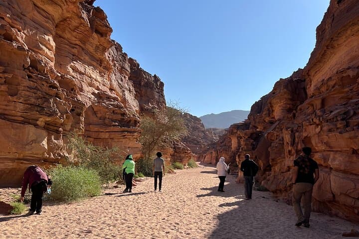 Sinai Valleys One-Day Guided Hike from Dahab photo 4
