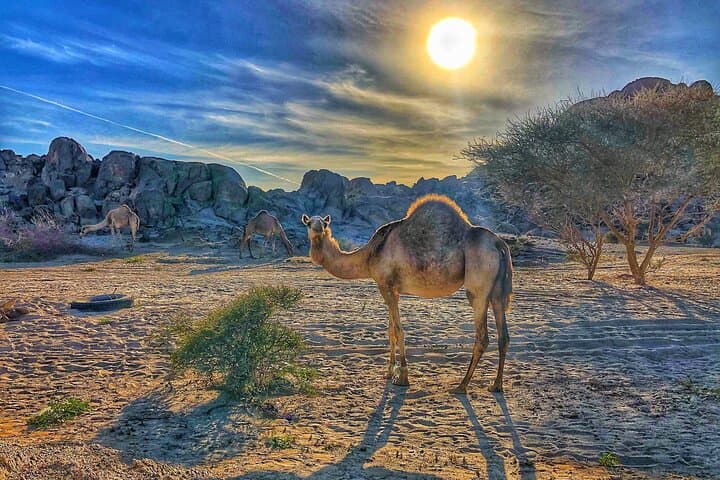 Private Moon Valley Hike from Jeddah — Sunrise & Sunset Lunar Landscapes photo 6