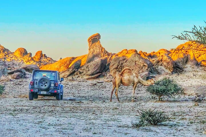 Private Moon Valley Hike from Jeddah — Sunrise & Sunset Lunar Landscapes