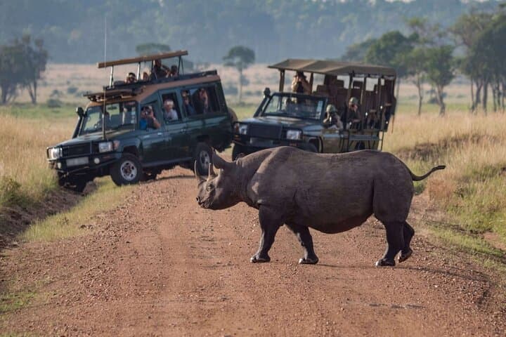 3-Day Ol Pejeta Conservancy Luxury Safari: Big Five, Chimpanzees & Mount Kenya Views photo 2