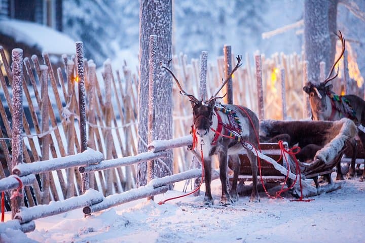 Half-Day Private Tour to Santa Claus Village & Rovaniemi Experience photo 1