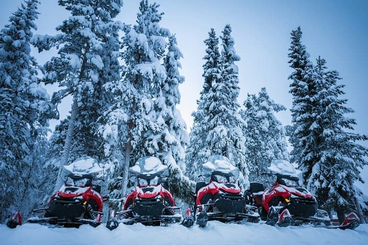 Rovaniemi Private Snowmobile Safari Near the Arctic Circle — Winter Adventure photo 2
