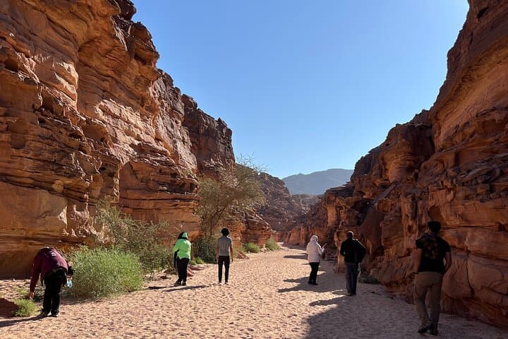 Private 2-Day Sinai Desert Experience: Bedouin Camp, Canyons & 4x4 Exploration photo 4