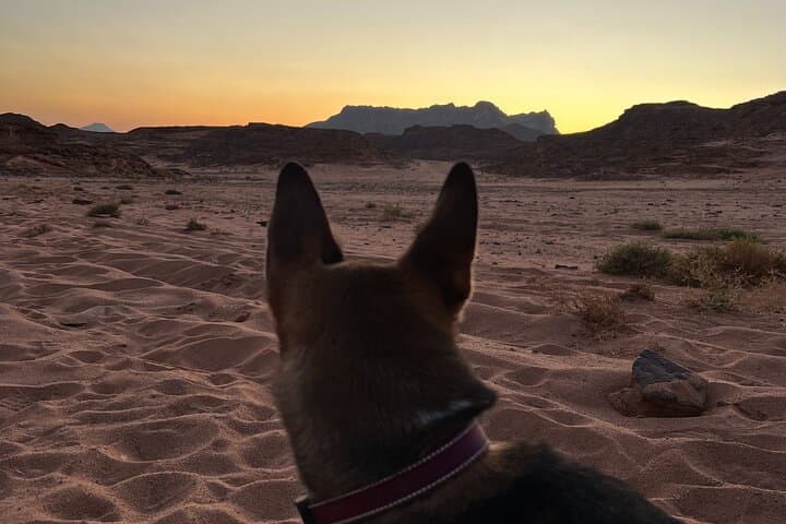 Private 2-Day Sinai Desert Experience: Bedouin Camp, Canyons & 4x4 Exploration photo 5
